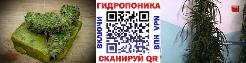 KRAKEN   Новоалтайск  Печенье с ТГК конопля 