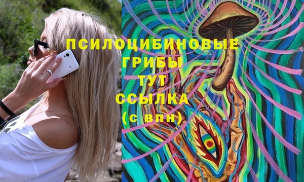 молекула духа Алексеевка