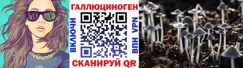 omg сайт  Новоалтайск  Галлюциногенные грибы GOLDEN TEACHER 